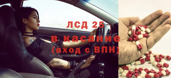 сатива Абаза